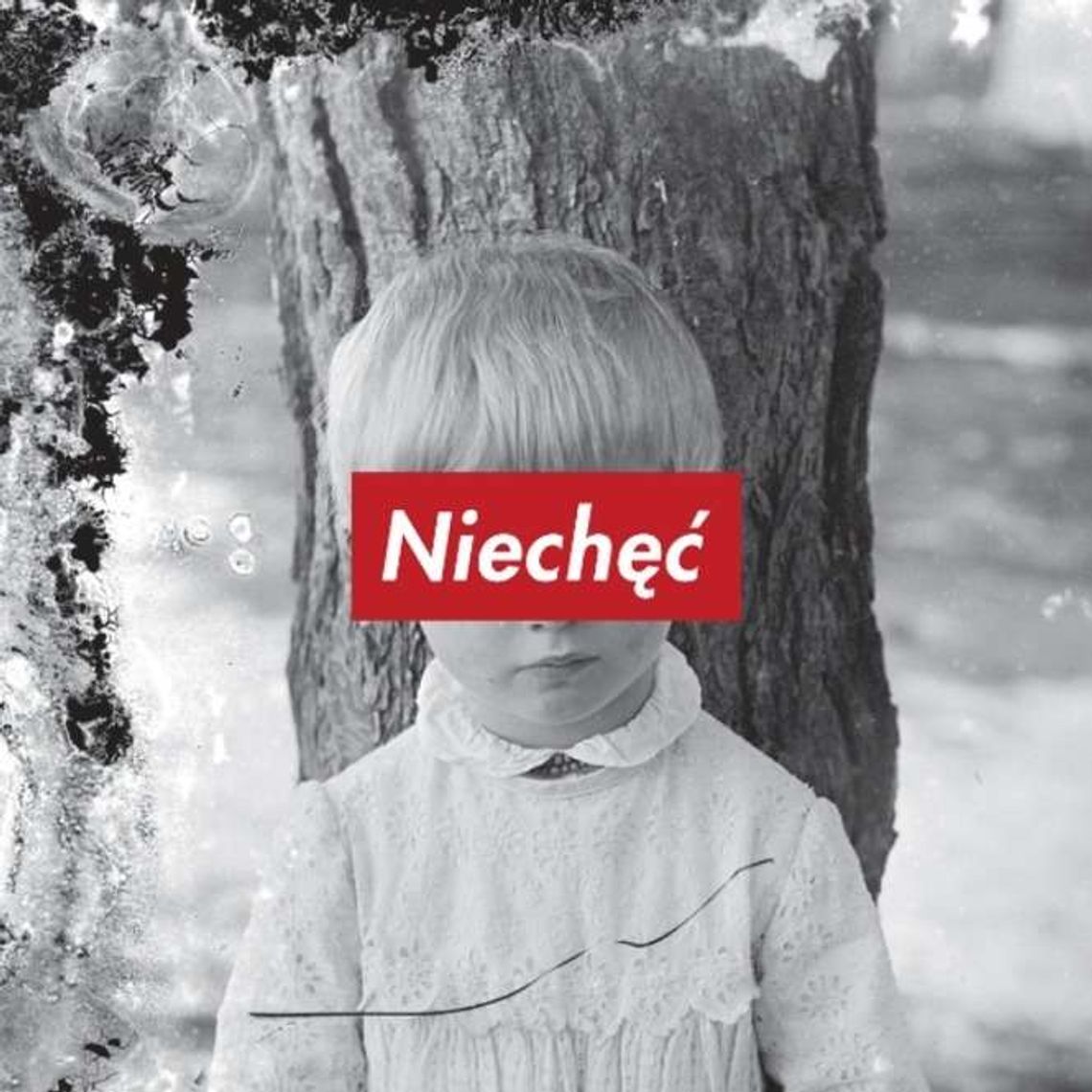 Koncert: Niechęć w Centrum Kultury