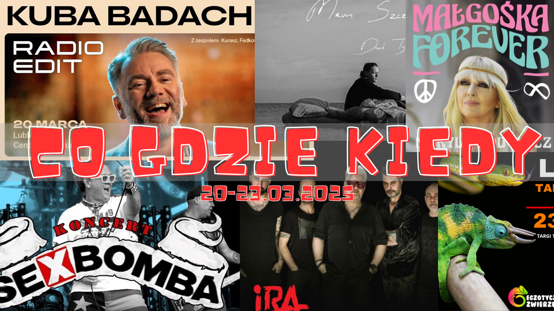 Koncerty i egzotyczne zwierzęta! Wydarzenia w woj. lubelskim w weekend 21-23 marca 2025