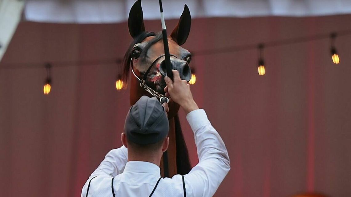 Konie arabskie z Janowa i Michałowa nadal w stajniach. Miały być za nie pieniądze, a ich nie ma Konie arabskie z Janowa i Michałowa nadal w stajniach. Miały być za nie pieniądze, a ich nie ma