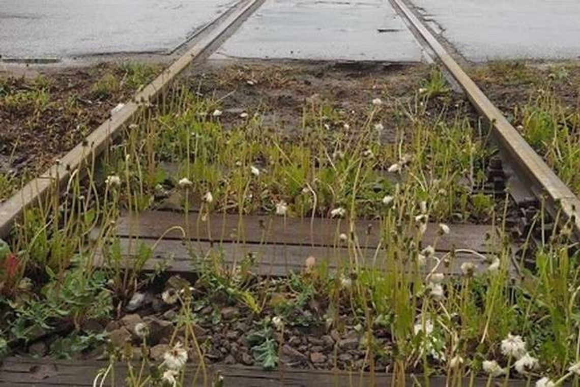 Koniec objazdu na drodze z Puław do Dęblina