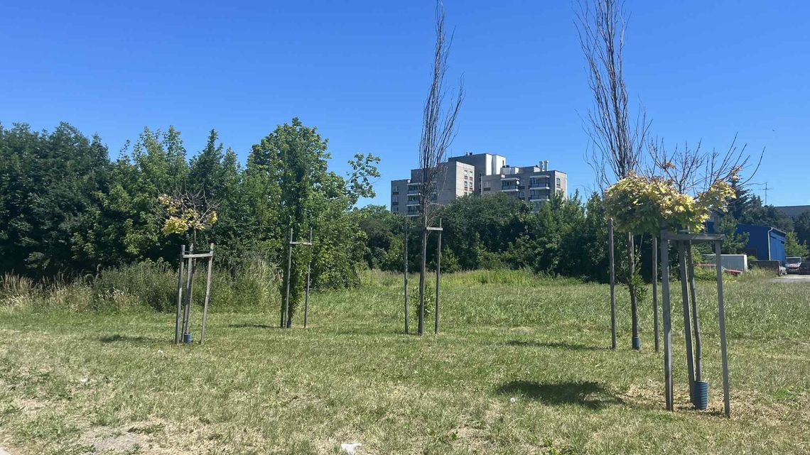 Koniec pięcioletnich przepychanek. Deweloper może budować blok