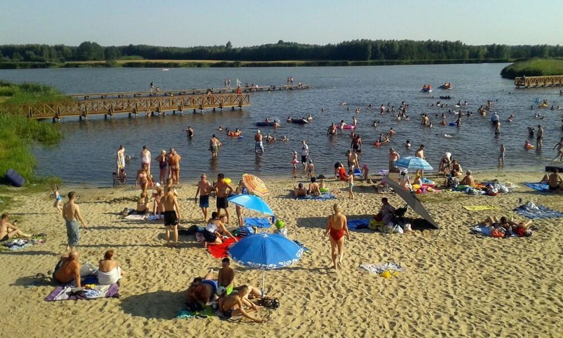 Dębowy Las Wołkowiany