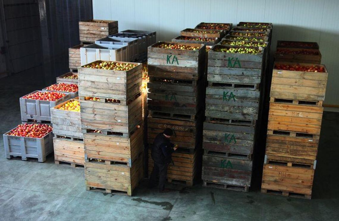 Koniec zgłoszeń do konkursu \"Rolnik Lubelszczyzny”: 32 kandydatów