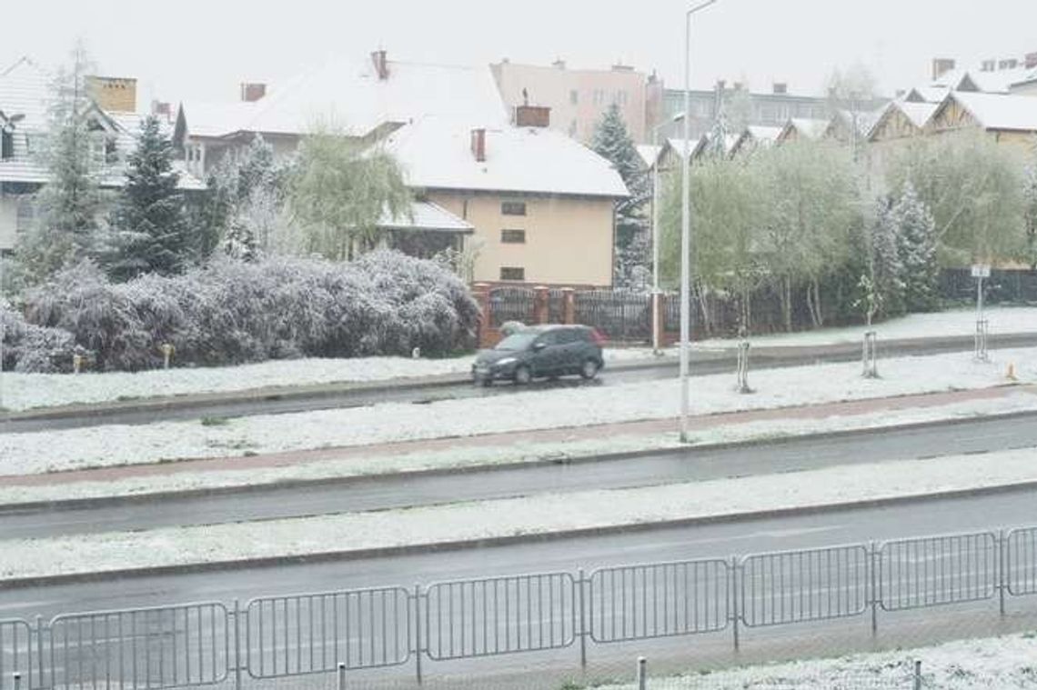 Koniec zimy bez śniegu. Nadchodzą opady Koniec zimy bez śniegu. Nadchodzą opady