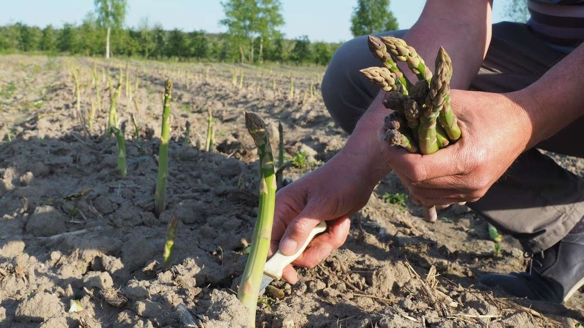 Konkurs fotograficzny KOWR