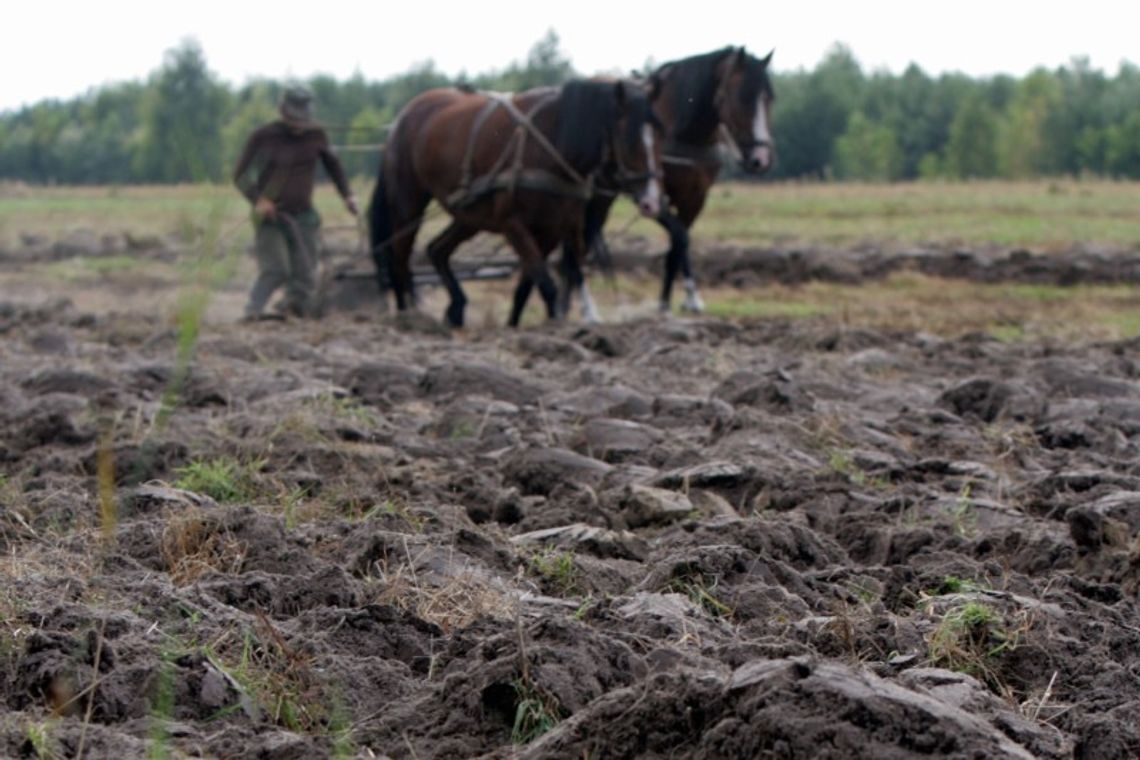 Konkurs \"Rolnik Lubelszczyzny”: Kandydaci poszukiwani
