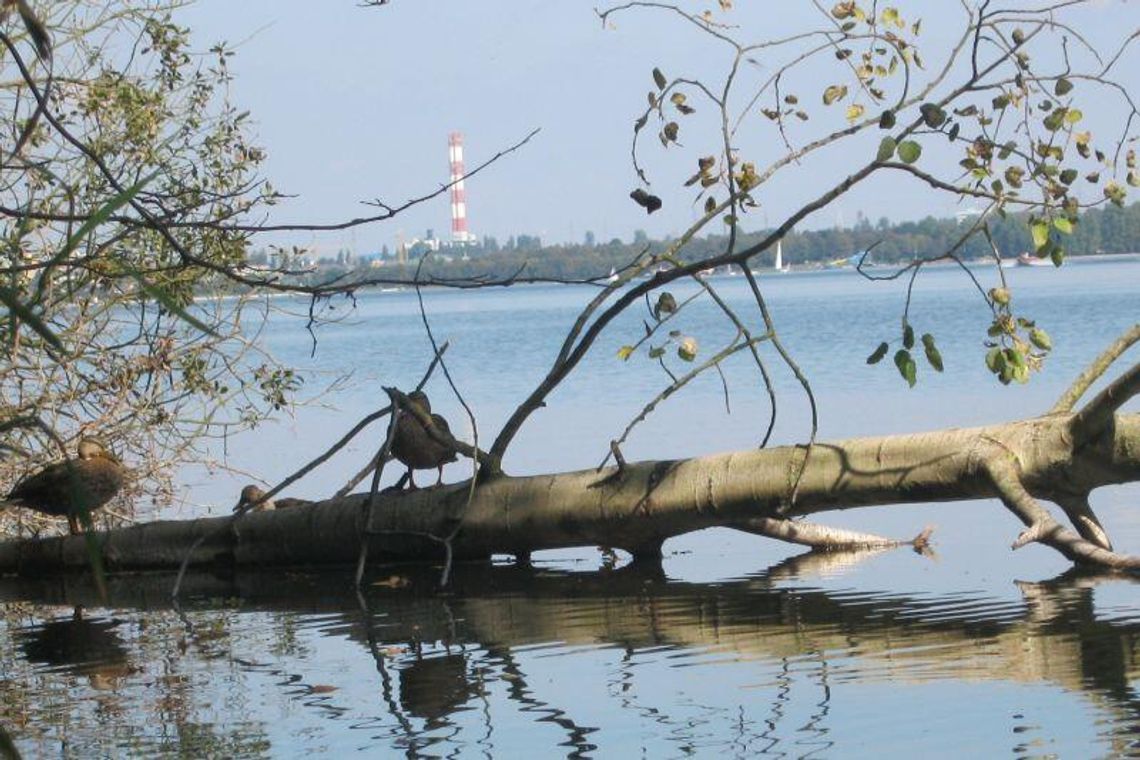 Konkurs rowerowy: Nałęczów-Lublin-Nałęczów Konkurs rowerowy: Nałęczów-Lublin-Nałęczów