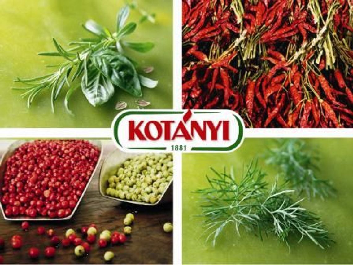 Konkurs z KOTÁNYI rozstrzygnięty