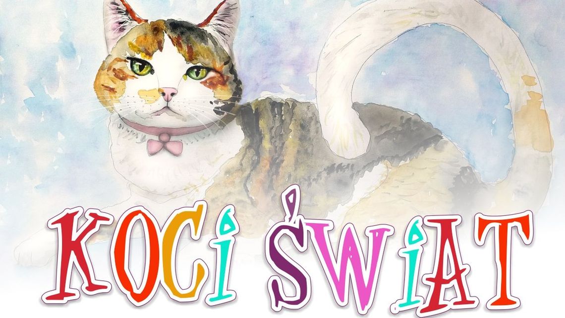 Konkursy z okazji Światowego Dnia Kota w Puławach