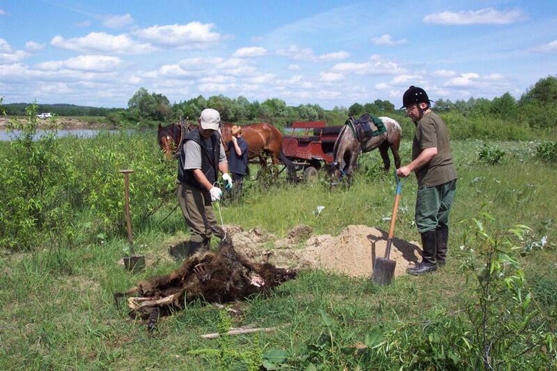 Konne patrole ekologiczne