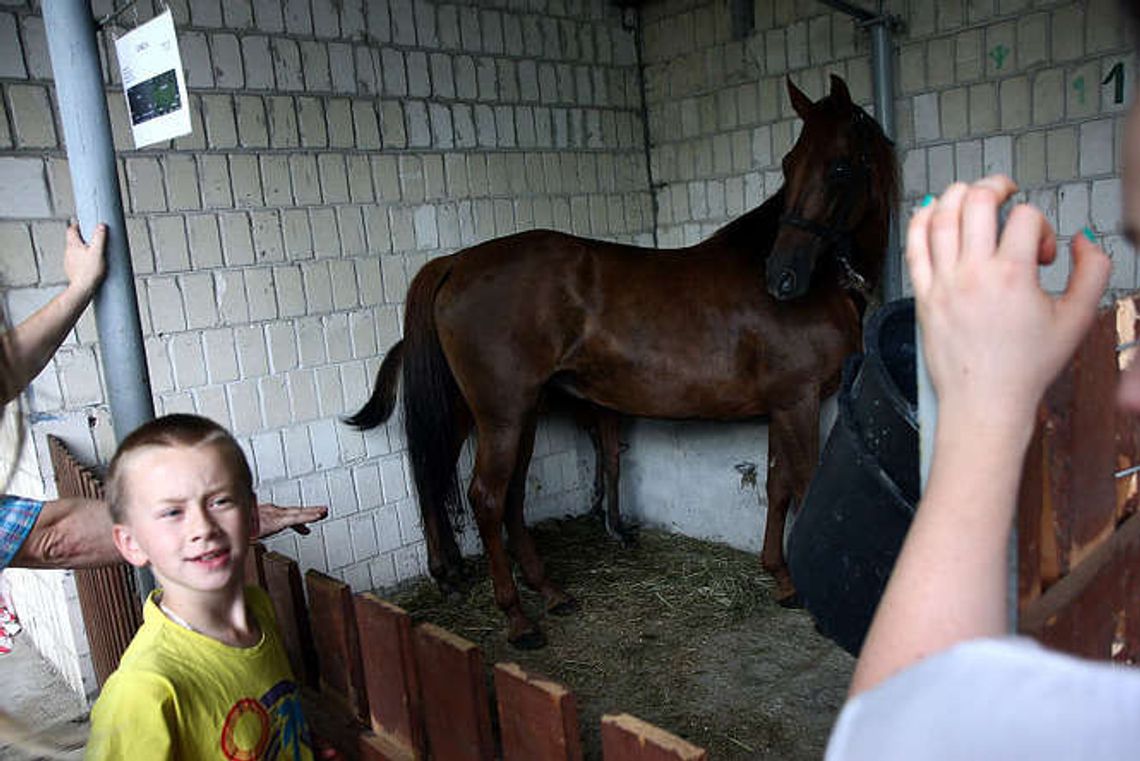 Końskowola: Drzwi otwarte LODR. Wystawa roślin, zwierząt i maszyn rolniczych