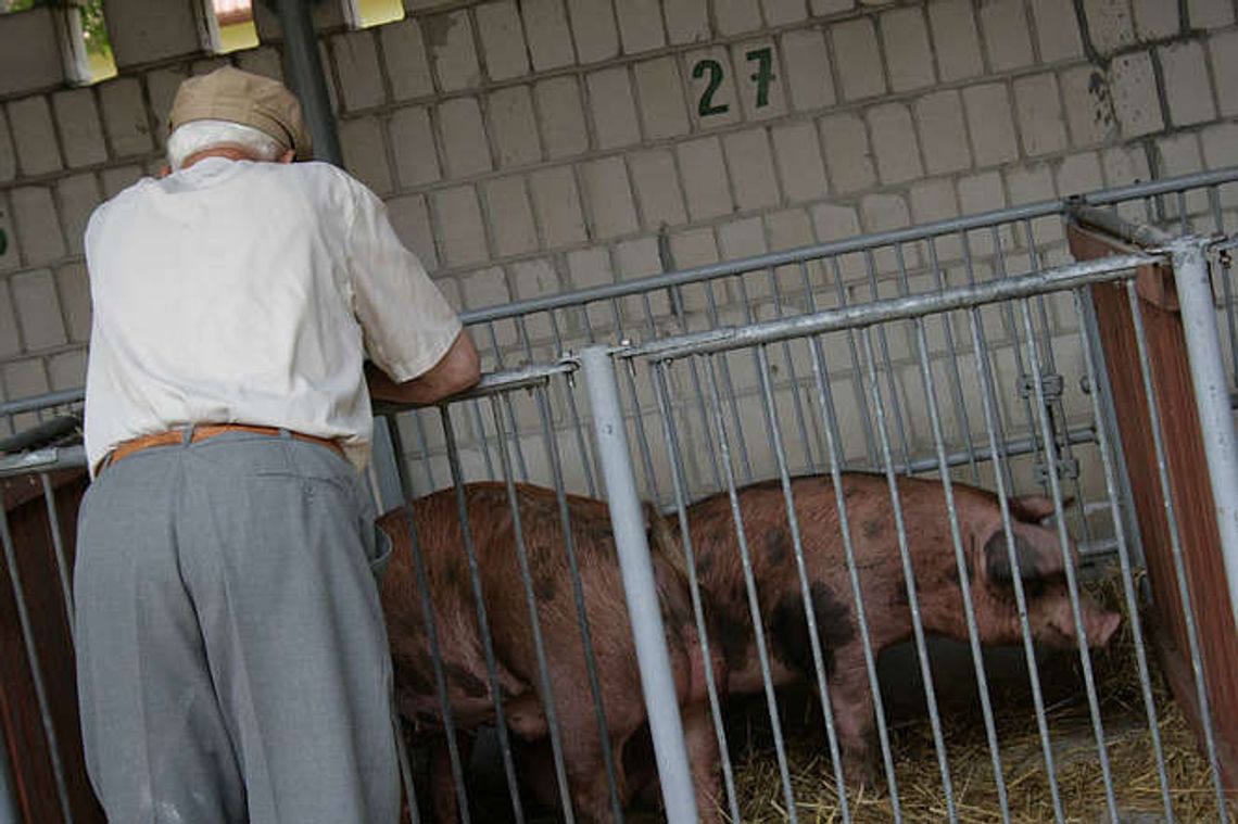 Końskowola: Dzień Drzwi Otwartych w LODR