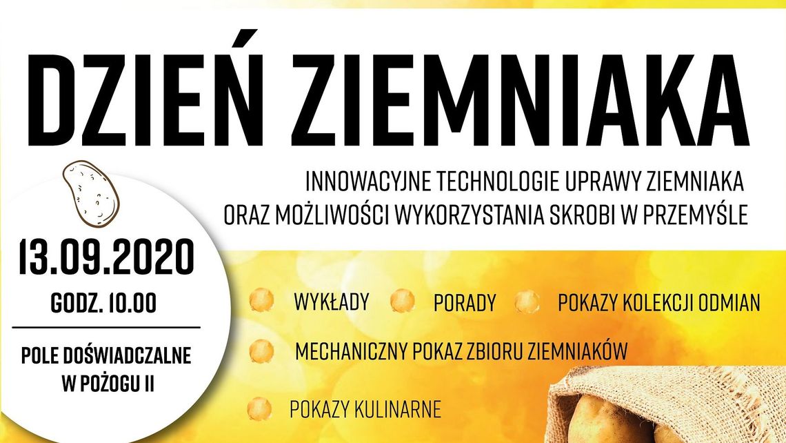 Końskowola: Dzień Ziemniaka z kopaczką konną i dronami