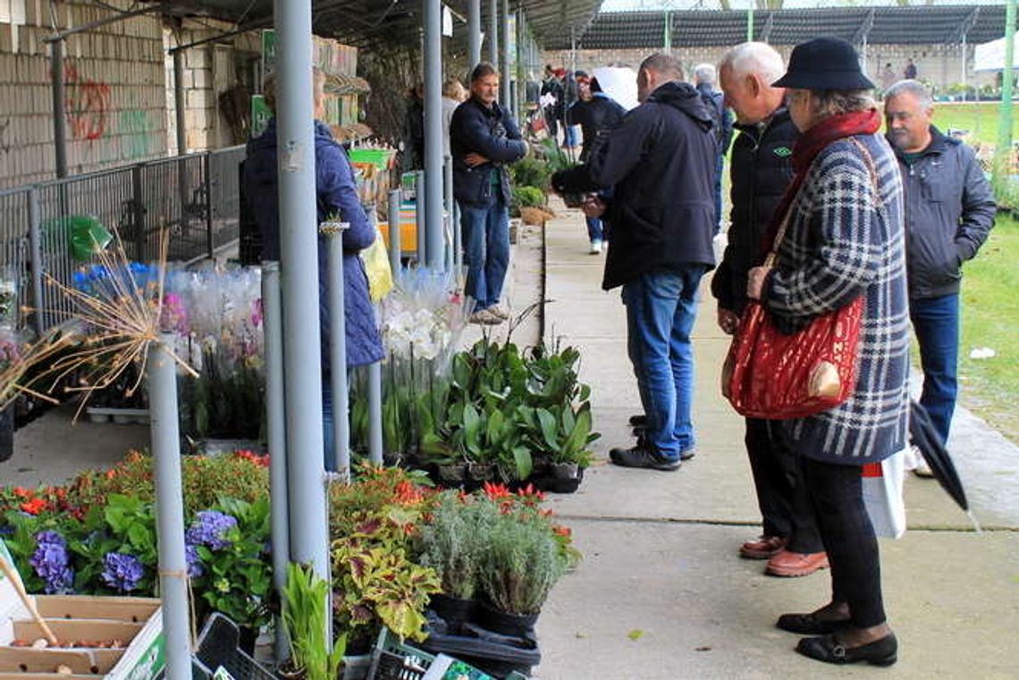Końskowola: Kupują drzewka i krzewy, trwa jesienny kiermasz Końskowola: Kupują drzewka i krzewy, trwa jesienny kiermasz