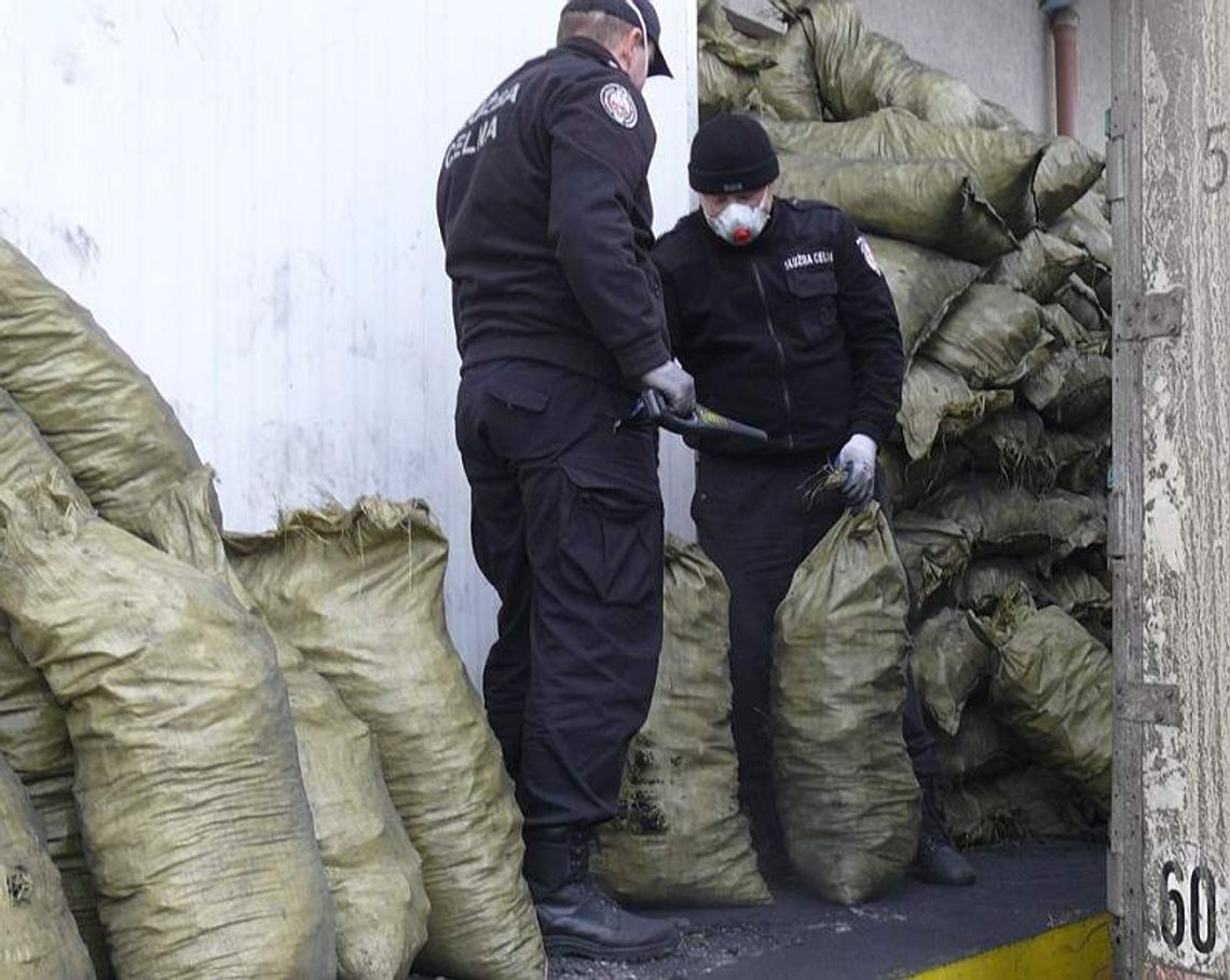 Kontrabanda w węglu drzewnym