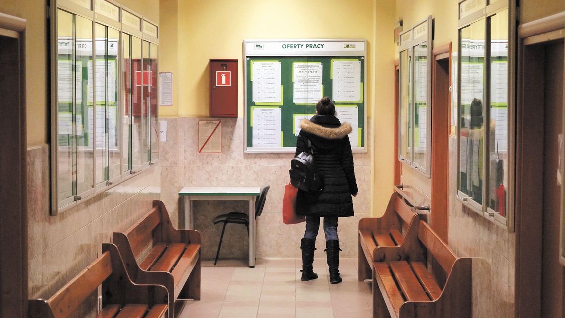 Kontrola NIK w urzędach pracy. Oto wyniki w woj. lubelskim