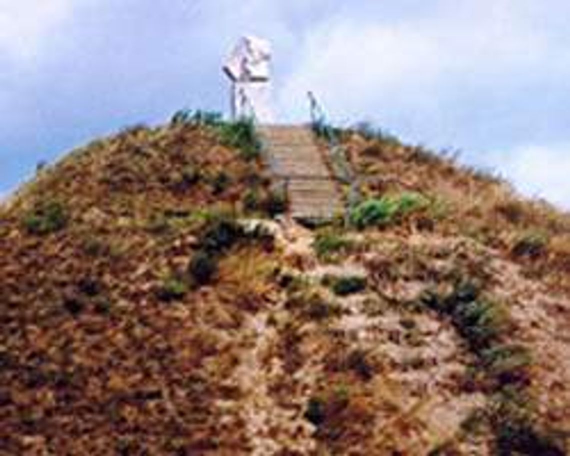 Kopiec H. Sienkiewicza w Okrzei (nr 45) - 1 głos