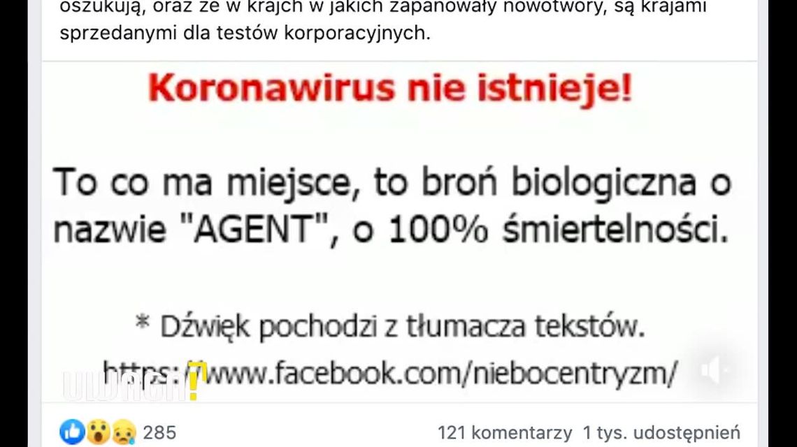 Koronawirus a fake newsy. Jak nie dać się epidemii fałszywych informacji?