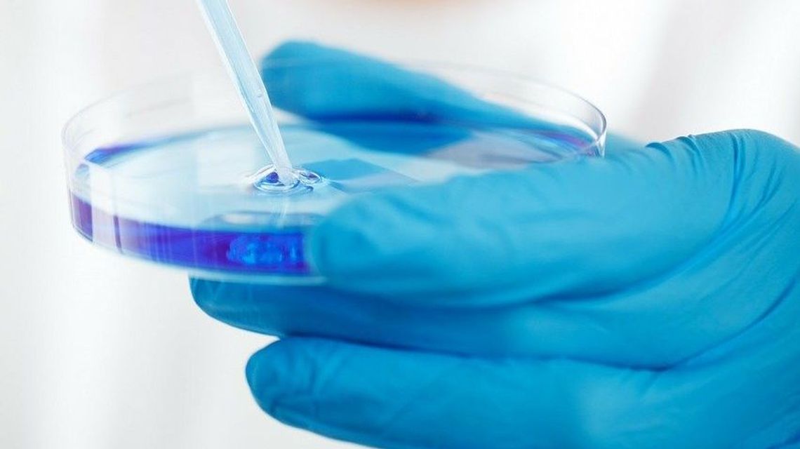 Koronawirus coraz bliżej Polski. Pierwsze przypadki w Rumunii, Estonii i Norwegii