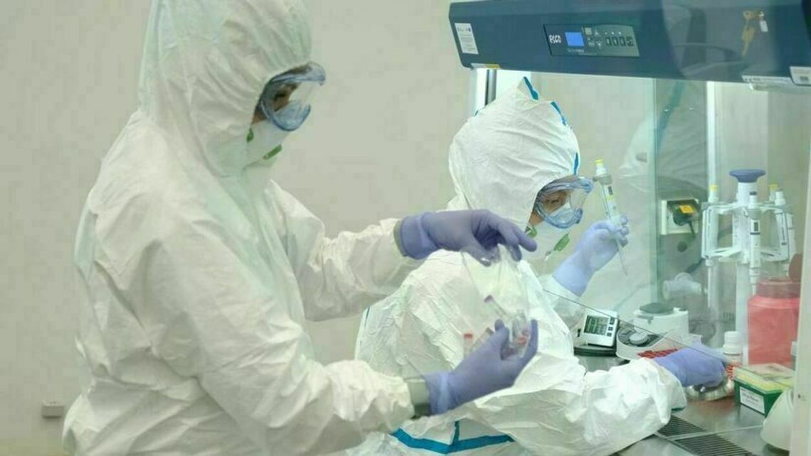 Koronawirus. Dane z 1 kwietnia 2022