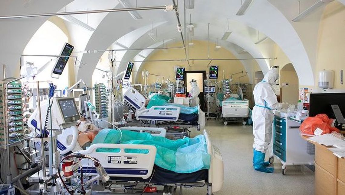 Koronawirus Lubelskie, 17 marca. Raport z powiatów