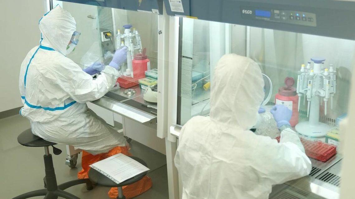 Koronawirus. Raport Ministerstwa Zdrowia z 6 sierpnia