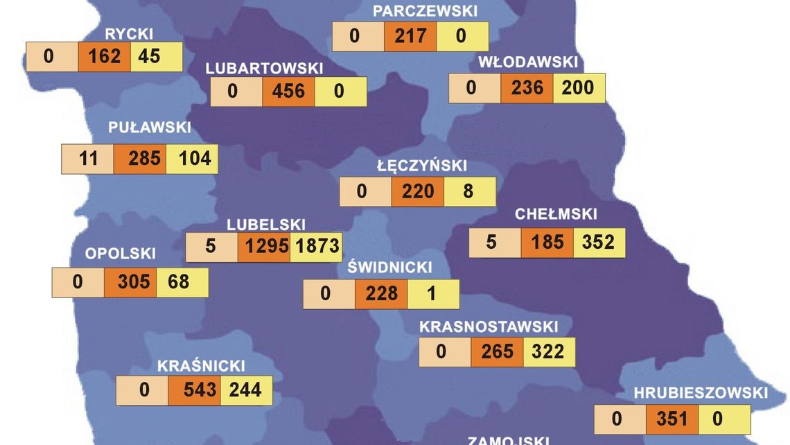 Koronawirus w Lubelskiem. Nowe hospitalizacje, kwarantanna [dane na 29.03]