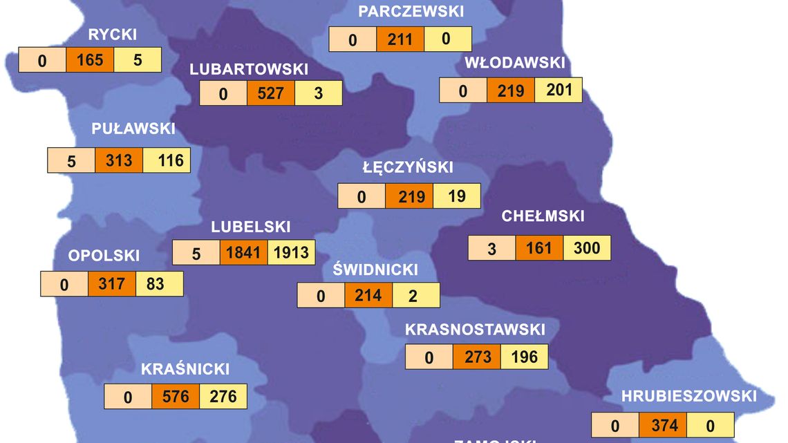 Koronawirus w Lubelskiem. Nowe hospitalizacje, kwarantanna [dane na 31.03]
