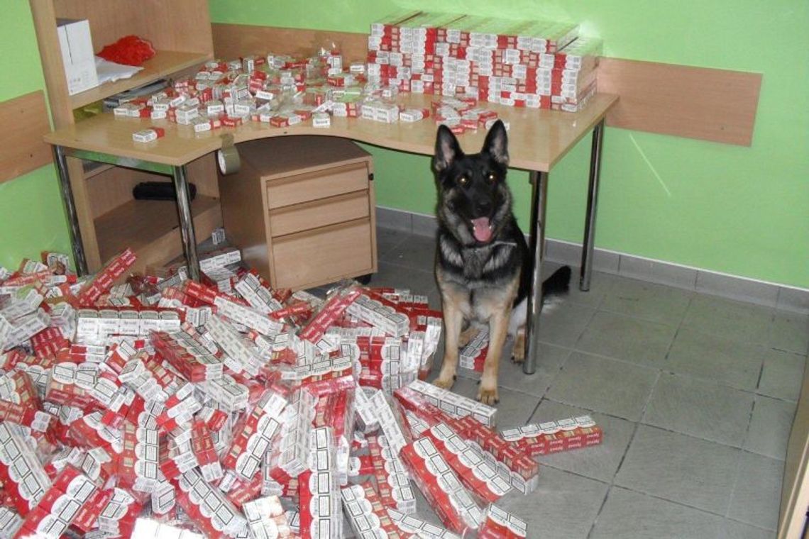 Koroszczyn: Białorusin papierosy ukrył nawet w filtrze paliwa