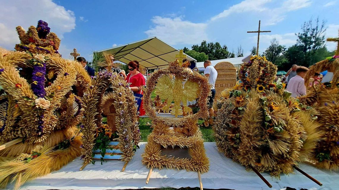 Korowód z wieńcami, dużo jedzenia i muzyki. Dożynki zamojskie w tę niedzielę