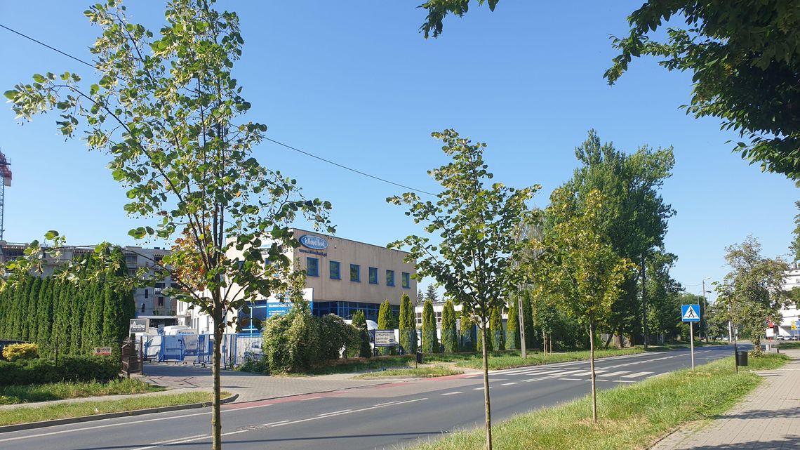 Kosili trawniki, uszkodzili drzewa. „To skandaliczne zaniedbanie”