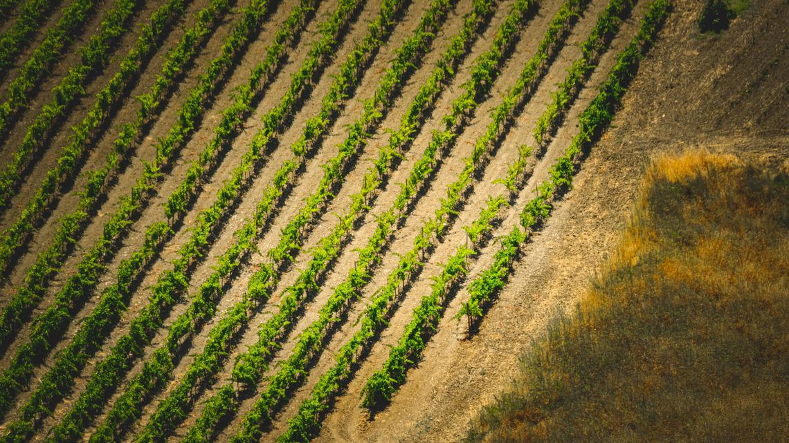 Kosiniak-Kamysz: Nie dla Mercosur Kosiniak-Kamysz: Nie dla Mercosur