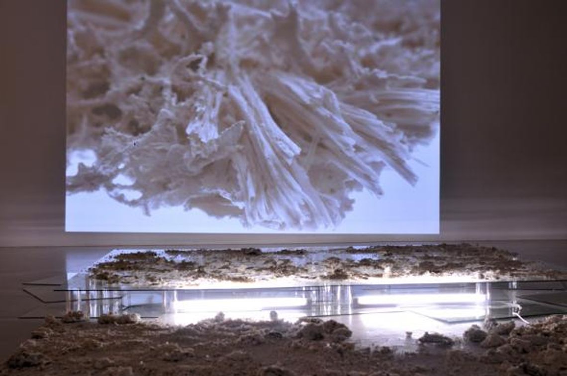 Kosmiczne struktury Kosmiczne struktury