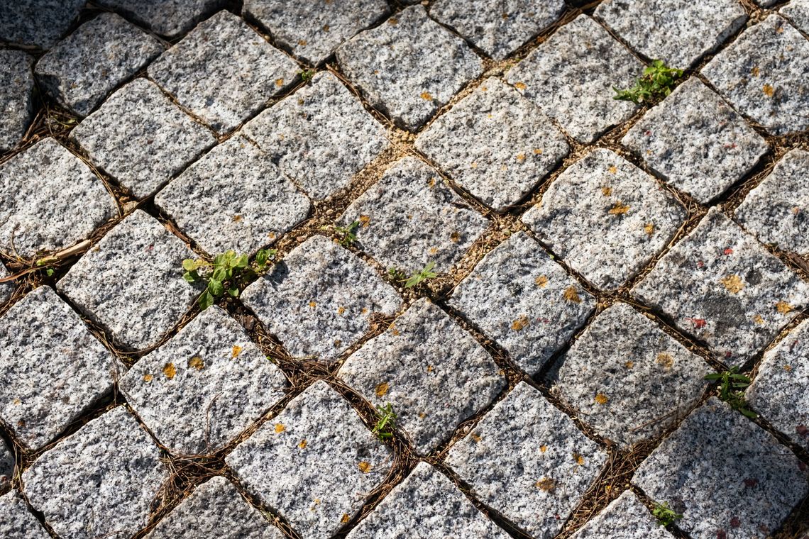 Kostka brukowa na lata. Dlaczego zakup materiału i budowę podjazdu warto zlecić jednej firmie? Kostka brukowa na lata. Dlaczego zakup materiału i budowę podjazdu warto zlecić jednej firmie?