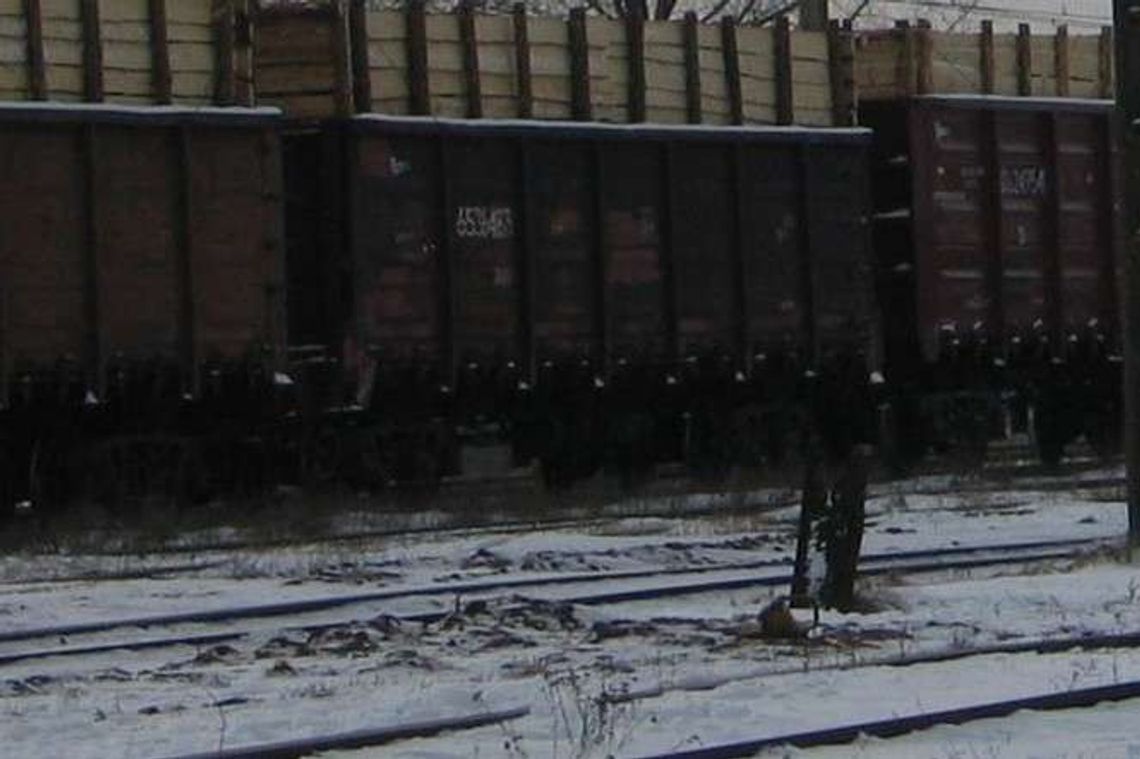 Kostka granitowa i 344 kg haszyszu w wagonie kolejowym. Transport z Polski