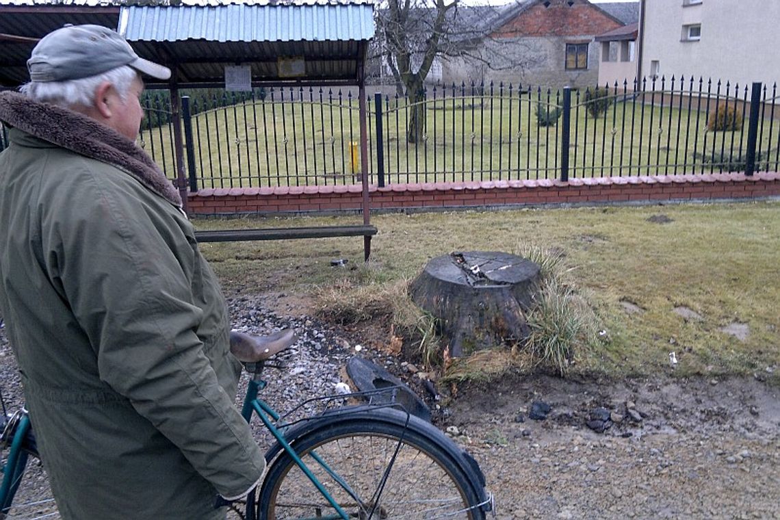 Koszmar w Kraczewicach: Psy zagryzły kobietę. Policja szuka zwierząt