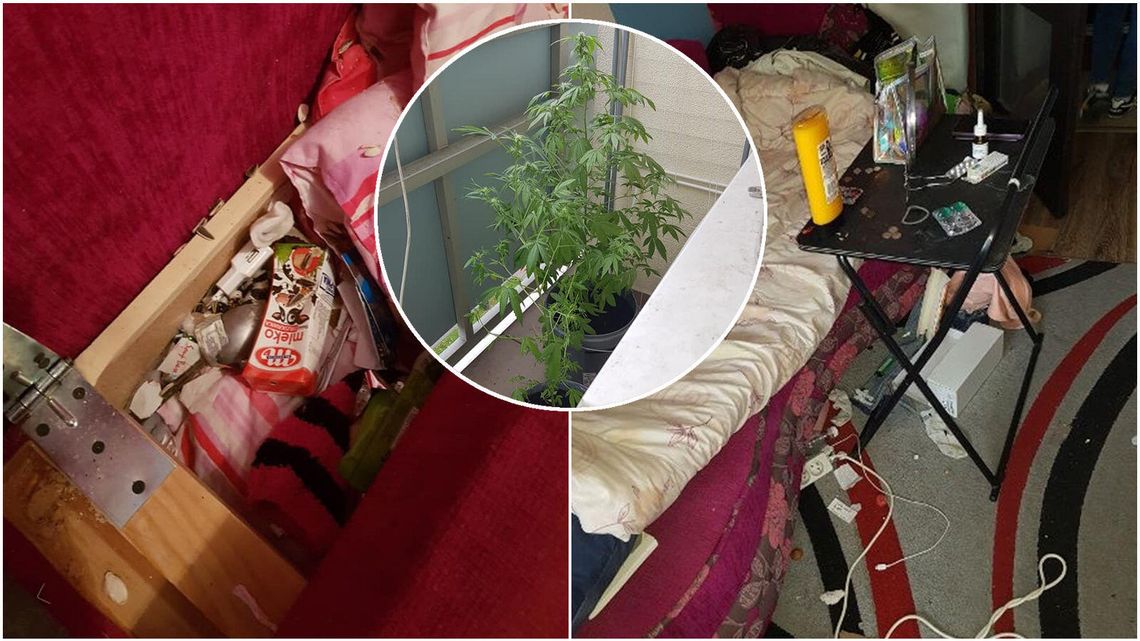 Koszmarni lokatorzy zostawili po sobie syf w mieszkaniu i... niespodziankę na balkonie