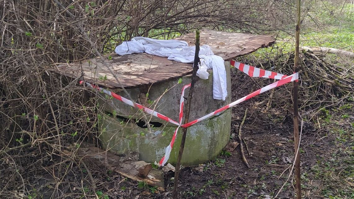 Kot wpadł do studni. Pomogli mu strażacy z Wierzbicy