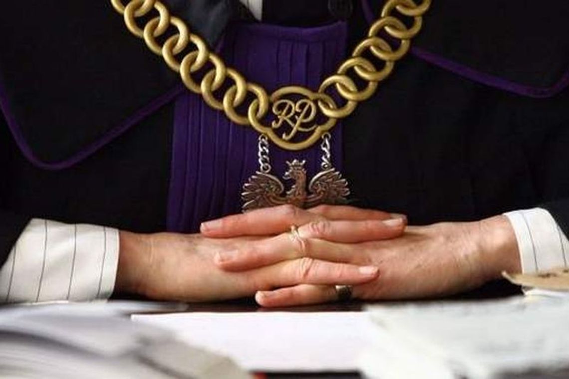 Kotka cierpiała, a właściciel to nagrywał. Teraz odpowie przed sądem