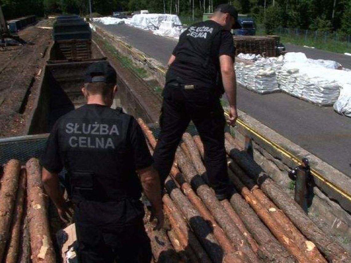 Kowalewo: Przemyt papierosów w drewnie