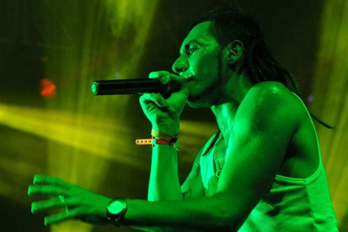 Kozienalia 2014: Zagrają Jamal, Coma, Bednarek i Hey (program koncertów)