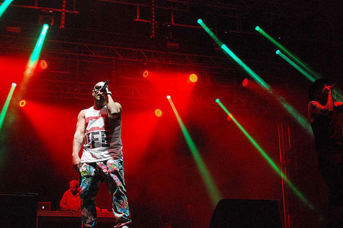 Kozienalia 2015: Tede, Molesta Ewenement i Ten Typ Mes & Live Band na scenie (zdjęcia)