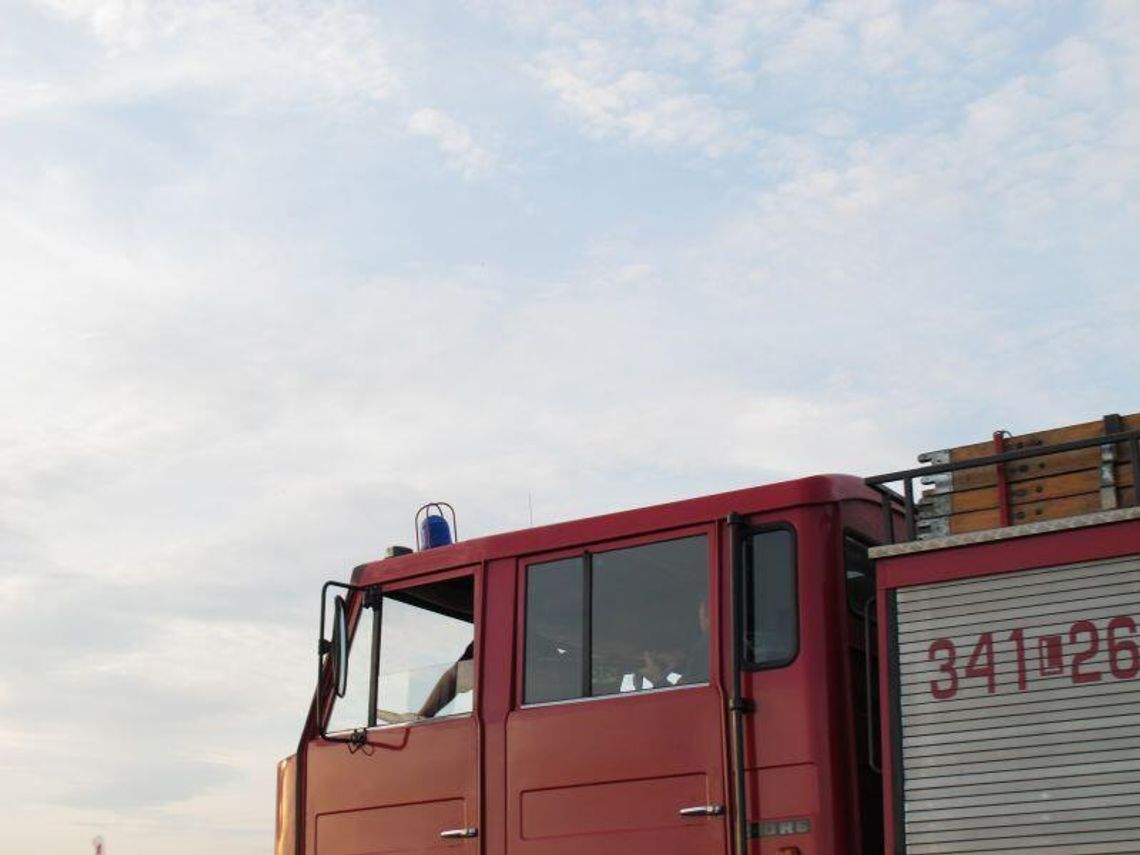 Kożuszki: Skradzione audi ugrzęzło w lesie