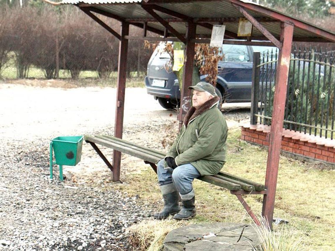 Kraczewice: Psy rozszarpały kobietę na przystanku