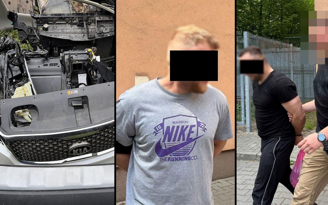 Kradli w kilku województwach. Dziupla zlikwidowana Kradli w kilku województwach. Dziupla zlikwidowana