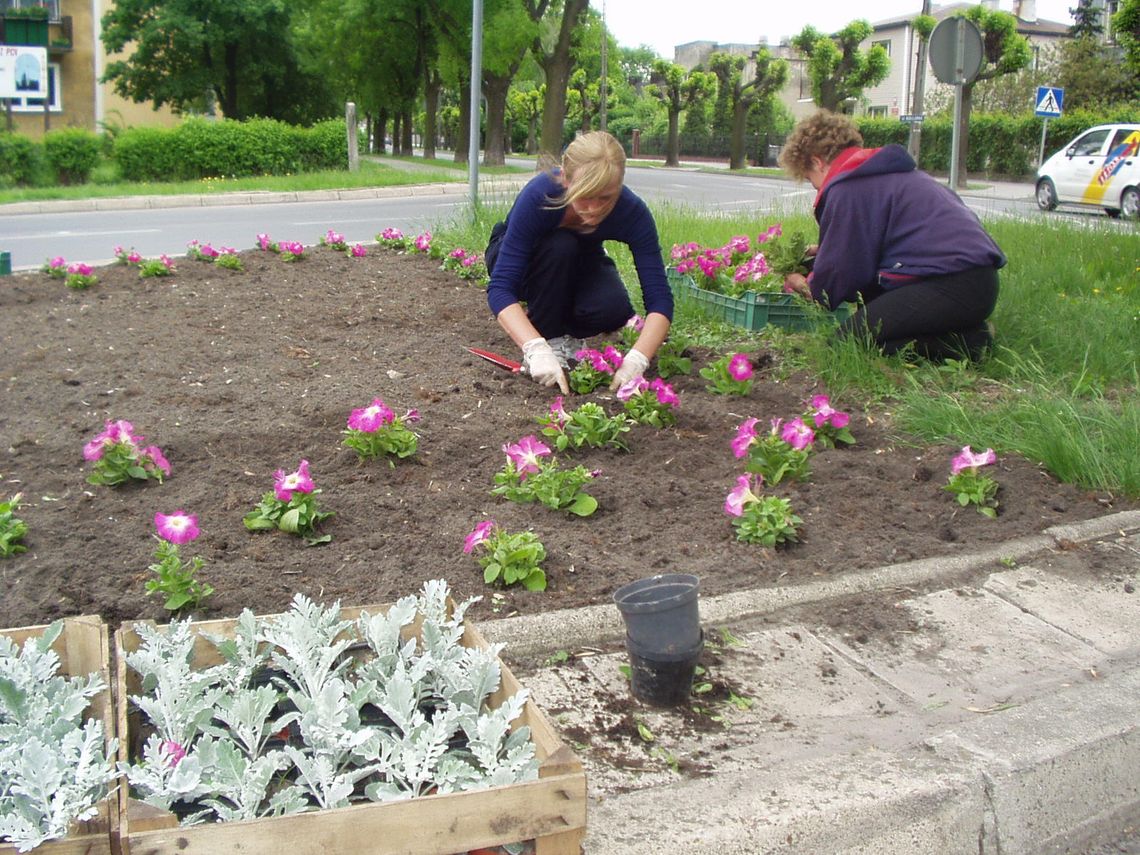 Kradną nawet kwiaty