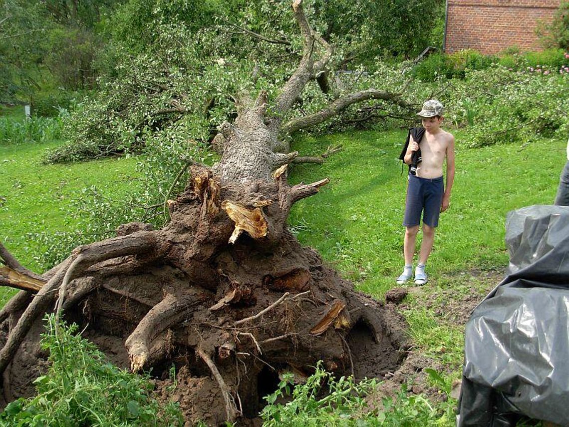 Krajobraz po nawałnicy w Piaskach. Pozrywane dachy i straty w uprawach