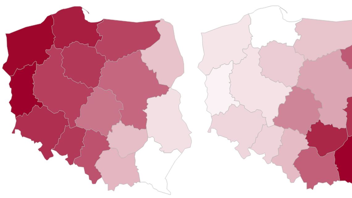 Krajowe bastiony Nawrockiego i Trzaskowskiego. Pacjenci vs osadzeni