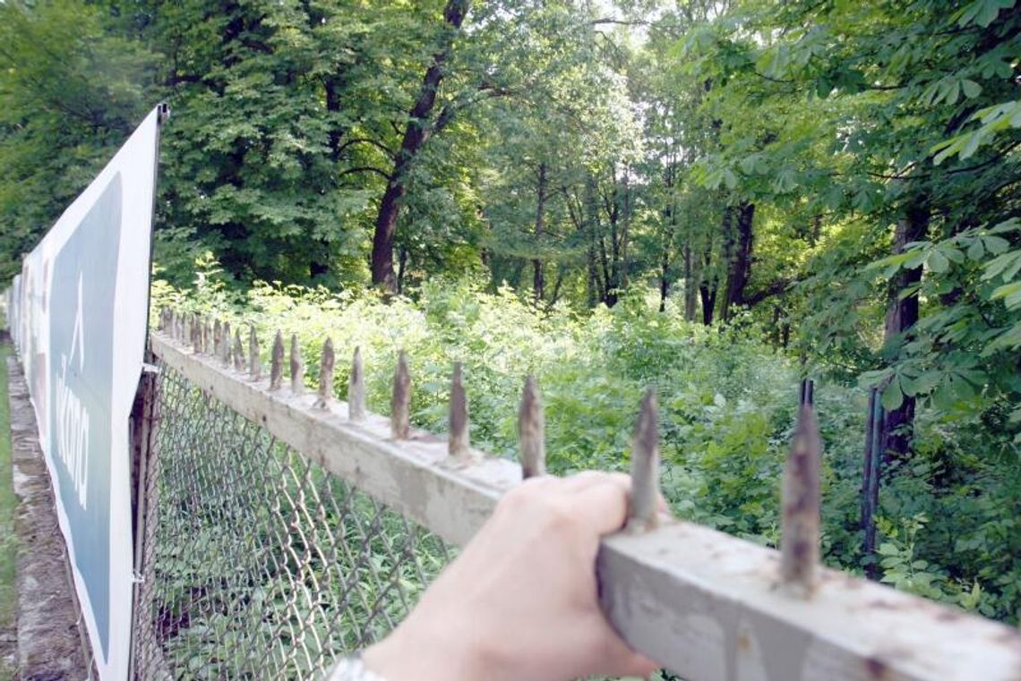 Kraśnicka: Będzie beton zamiast zieleni? Kraśnicka: Będzie beton zamiast zieleni?