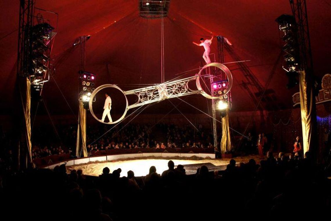 Kraśnik: Cyrk przyjedzie do miasta